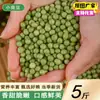 Feijão Verde Atacado Fazenda do Nordeste Feijão Verde Duplo Feijão Verde Pequeno Grãos Inteiros Feijão de Casca Verde Pequeno g