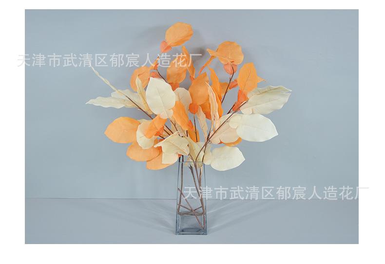 详情_13.jpg