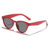 Lluvia Transfronteriza Nuevo Venta al por Mayor Ojo de Gato Sombrilla para el Sol para Exteriores Gafas de Sol para Mujer, Mismo Estilo, Esenciales de Calle Personalizadas Gafas de Sol