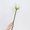 Árvore da Vida Artificial Grande Flor Coroa Pvc Borracha Macia Ave do Paraíso Hotel Sala de Estar Arranjo de Flores de Mesa Decoração Produto Novo Transfronteiriço
