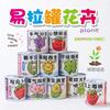 Lata Personalizada En Maceta de Escritorio para Interior Patrón de Planta Verde Pequeña se Puede Personalizar para que los Niños Planten Latas de Observación Plantas Pequeñas en Maceta