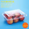100 Caixas de Plástico Transparentes Descartáveis para Frutas com Tampas para Conservação Fresca de Frutas, Legumes, Morangos, Pratos de Embalagem, Velas