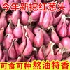 Vuelve a crecer incluso después de ser cortado Chalotes Rojos Auténticos Cebolletas Secas Cebolletas Tiernas Semillas de Cebolleta Cebolletas Pequeñas Frescas Cultivadas en Casa