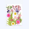 Bolsa de Material Repujado de Flor Seca Flor diy Marcapáginas Gotas de Pegamento Carcasa de Teléfono Móvil de Flor Seca Flor Repujada Espécimen de Planta