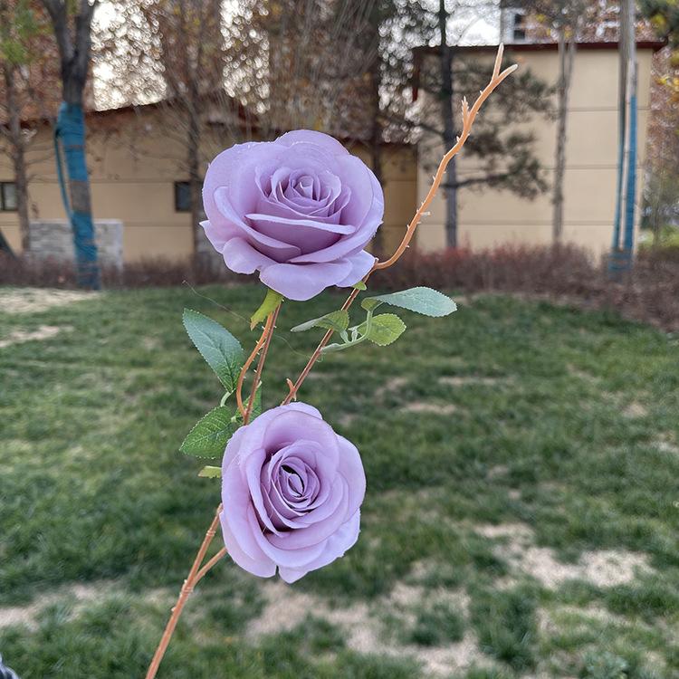 2头开心玫瑰-yxwmcx-紫色.JPG