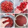 Máquina de inundación de azúcar por presión negativa al vacío Fruta confitada de espino blanco fruta conservada vacío burbuja olla de azúcar máquina de remojo de azúcar al vacío suministro directo de fábrica Weifang