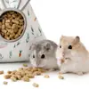 Bolsa Alimentadora de Pasto para Conejos, Gran Capacidad, Engrosada, Resistente al Desgaste, Anti-Desperdicio, Adecuada para Cobayas, Chinchillas, Hámsters y Ardillas