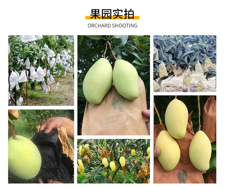 详情1_08.jpg