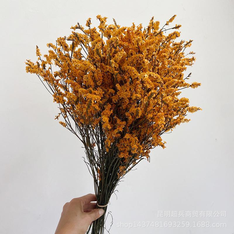 QQ图片20210804154127.jpg