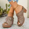 Nuevas Sandalias de Cuña Hueca de Talla Grande de Comercio Exterior para Mujer, Estilo Europeo y Americano, Punta Abierta, Suela Gruesa, Sandalias Ligeras de Playa para Uso en Exteriores