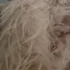 Parches de Piel Sintética para Mascotas Práctica de Esteticista Parches de Pelo de Espalda Pelo de Perro Pelo de Cabeza Esqueleto de Caniche Modelo Oso de Peluche Bichón