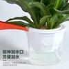 Maceta para flores, cesta verde para el hogar, cuenco especial, utensilios hidropónicos, imitación cerámica, Phalaenopsis, perezoso, plástico, para levantar agua, rosa verde, succión automática.