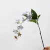 Colgante de planta Fruto de aliso Pegamento suave Fruto de frijol del amor Colgante de pared Decoración de paisajismo Accesorios para arreglos florales Seda suave
