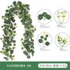 Ratán de Eucalipto Yeso de Eucalipto Enredadera Hoja de Dinero de Eucalipto Manzana de Primavera Hoja Simulación Planta Ratán de Eucalipto