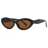 Óculos de Sol Oval Europeu e Americano Olho de Gato 2025 Nova Personalidade Pernas Finas Óculos de Sol Moda Tendência Óculos de Sol Transfronteiriços
