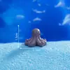 Miniatura de diorama de mundo subaquático: submarino criativo de peixes e corais, acessórios de decoração DIY para aquário, pequenas figuras