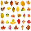50 Nuevas Pegatinas de Graffiti de Hojas de Otoño para Decorar Fundas de Teléfono Móvil, Botellas de Agua, Maletas, Cuadernos de Computadora y Pegatinas