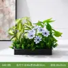 Combinação de Paisagismo com Plantas Verdes Simuladas, Floreiras de Divisão, Jardineiras, Decoração com Grama Artificial, Paisagismo Interno, Flores Artificiais, Plantas Artificiais