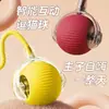Brinquedo para cachorro, patinho amarelo, resistente à mastigação, autoentretenimento, brinquedo de pelúcia para aliviar o tédio, brinquedo para gato, brinquedo para cachorro, brinquedo para animal de estimação