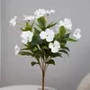 7 Garfo Impatiens Varanda Bonsai Planta Bonsai Paisagismo de Jardim Engenharia Decoração de Casamento Casa Flor