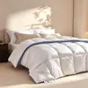 Manta Térmica Espacial de Fibra Antibacteriana Classe A Manta para Todas as Estações Núcleo de Edredom Manta de Primavera e Outono Manta de Inverno Roupa de Cama Individual para Dormitório Estudantil
