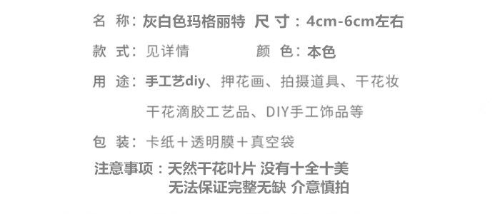 灰白色玛格丽特.png