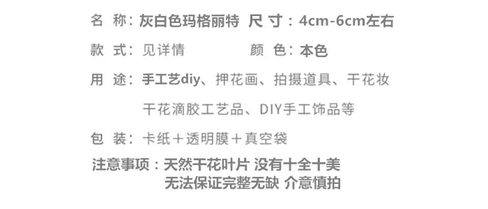 灰白色玛格丽特.png