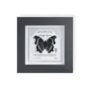 Mariposa Pavo Real Mariposa Real Rara Marco de Fotos Soporte de Exhibición Regalo de Vacaciones Espécimen de Gama Alta Pintura Decorativa Simple Tridimensional