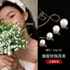 Brinco de Clipe Pérola Shijia Estilo Igual Febre Sem Orelhas Furadas Brincos Espiral de Mosquito Femininos Joia de Orelha de Nicho Brincos de Alta Qualidade