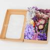 Kit de Materiales Secos para Manualidades de Flor Seca Más Vendido Transfronterizo, Paquete Mixto de Flores Preservadas de Amazon, Dropshipping