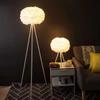 Lámpara de pie de plumas, luz nórdica, sala de estar de lujo, ins, niñas, Internet, princesa famosa, sala de estar, dormitorio simple, lámpara de mesita de noche