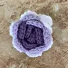 Flor de Hilo Hecha a Mano Cabeza de Rosa Crochet Patrón Nuevo Versión de Muestra Prenda Semi-Terminada Accesorios Tejido Algodón de Leche