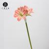 Venta directa de fábrica, simulación de flor clivia, rama única, flor roja, boda, flor falsa, boda, decoración del hogar, mesa