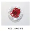 Estilo Ins japonés flor seca para uñas joyería pétalos pequeños Cielo Estrellado 12 rejillas colorida encaje flor decoración de uñas flor