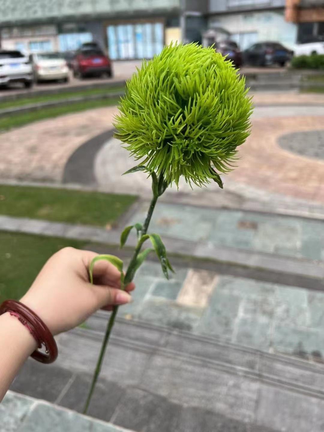 微信图片_20240818143539.jpg