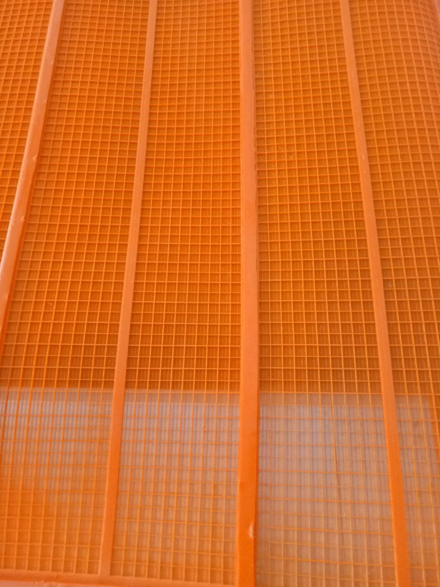 IMG20190727111343