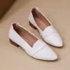 Sapatos casuais de bico fino Amazon em estoque, novidades de outono 2026, sapatos profissionais femininos macios de sola baixa, estilo vintage