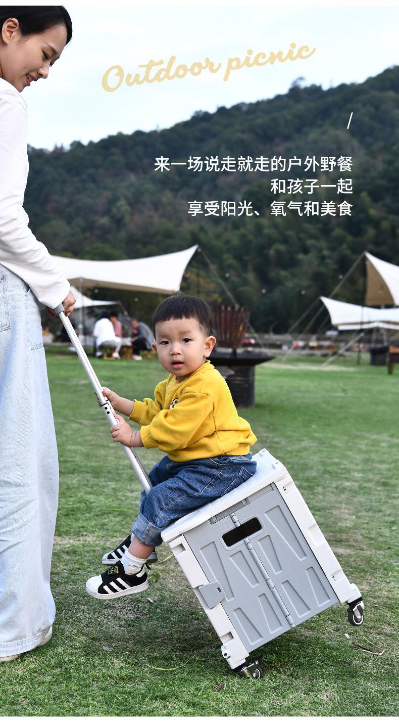 拉杆车_08.jpg