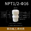 Conector de Terminal Reto de PTFE Politetrafluoroetileno PE Resistente a Ácido e Alcali Resistente a Altas Temperaturas Conector de Mangueira com Rosca Externa