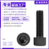 Tornillo de Plástico Hexagonal con Cabeza de Copa de Nylon Pa66 Tornillo de Cabeza Cilíndrica Negra Tornillo de Plástico Aislado M3M12