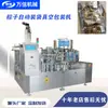 Máquina Envasadora al Vacío Totalmente Automática para Zongzi Máquina Envasadora al Vacío Tipo Bolsa Rotatoria para Tiras Picantes y Rodajas Picantes Snacks de Mostaza Encurtida
