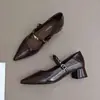 Zapatos de mujer de tacón grueso con punta fina y estilo francés en color marrón, nuevos de primavera y otoño 2026, zapatos Mary Jane bajos vintage con correa metálica