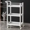 Carrinho para Salão de Beleza, Carrinho de Ferramentas de Luxo para Salão de Cílios e Cabelo, Prateleira de Armazenamento Multicamadas para Shampoo Atacado