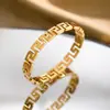 Pulseira de Aço Titânio Feminina Eletrodepositada a Vácuo Cor Inalterável Pulseira de Aço Inoxidável Nicho Versátil Luxo Leve Alta Qualidade Pulseira Totalmente Diamantada