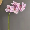 Toque Simulado Silicone Algodão Orquídea Imitação de Orquídea Venda Quente Transfronteiriça Decoração de Casamento Decoração de Banquete de Hotel Atacado