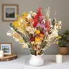 Flores secas mais vendidas na Amazon Europa: Buquês de flores preservadas, gipsofila, miosótis, flores secas de Yunnan, flores reais para decoração de casa