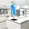 Mesa Experimental de Acero Completo, Banco de Trabajo de Laboratorio, Mesa de Experimentos para Estudiantes, Mesa con Fregadero de Laboratorio, Mesa Auxiliar de Acero y Madera al por Mayor