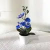 Nuevo Modelo de Orquídea Phalaenopsis Internacional de Tres Flores y Tres Hojas Bonsái Película 3D Flor Artificial Planta en Maceta para Decoración de Interiores