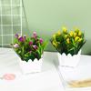 Suministro directo de fábrica simulación planta en maceta 20 Lirio de Cala cerca flor artificial bonsái bonsái decoración mini planta verde pequeños adornos