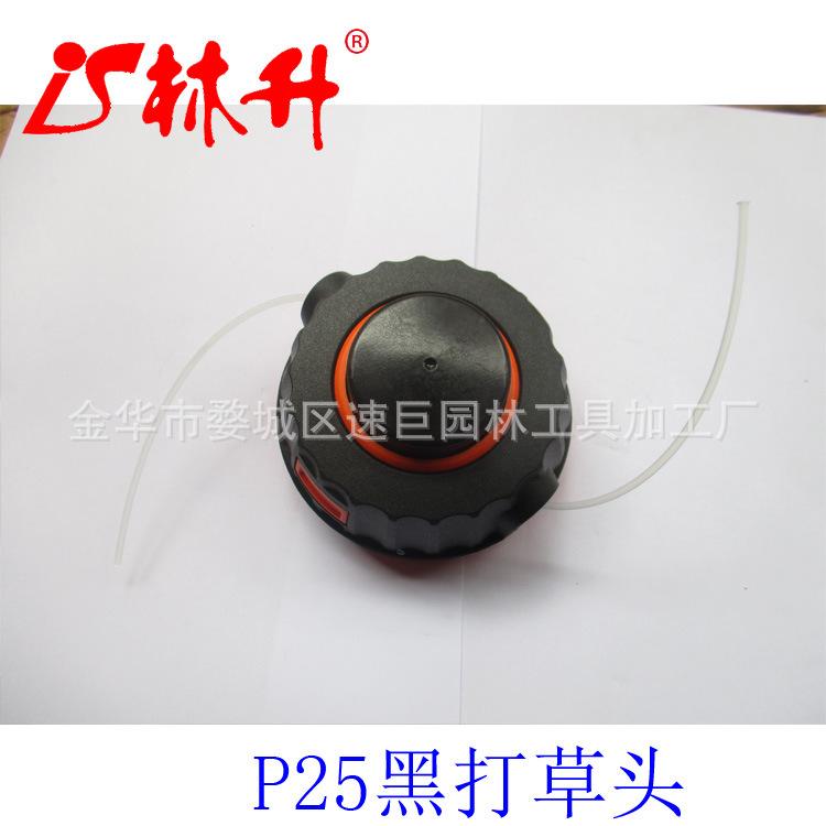 P25黑